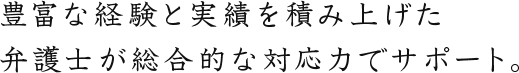 豊富な経験と実績を積み上げた弁護士が総合的な対応力でサポート。