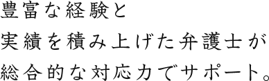 豊富な経験と実績を積み上げた弁護士が総合的な対応力でサポート。